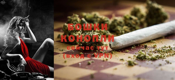 метадон Няндома