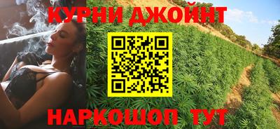 гашик Жуковский