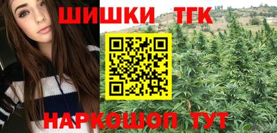 гашик Жуковский