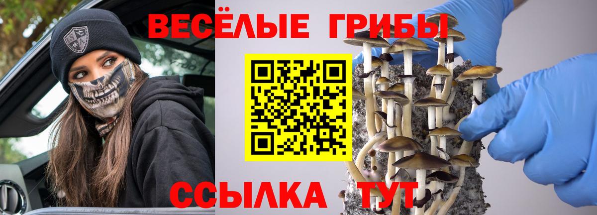 Псилоцибиновые грибы Magic Shrooms  Кириши 